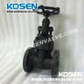 Kosen API 602 Forged Globe Valve (J61)